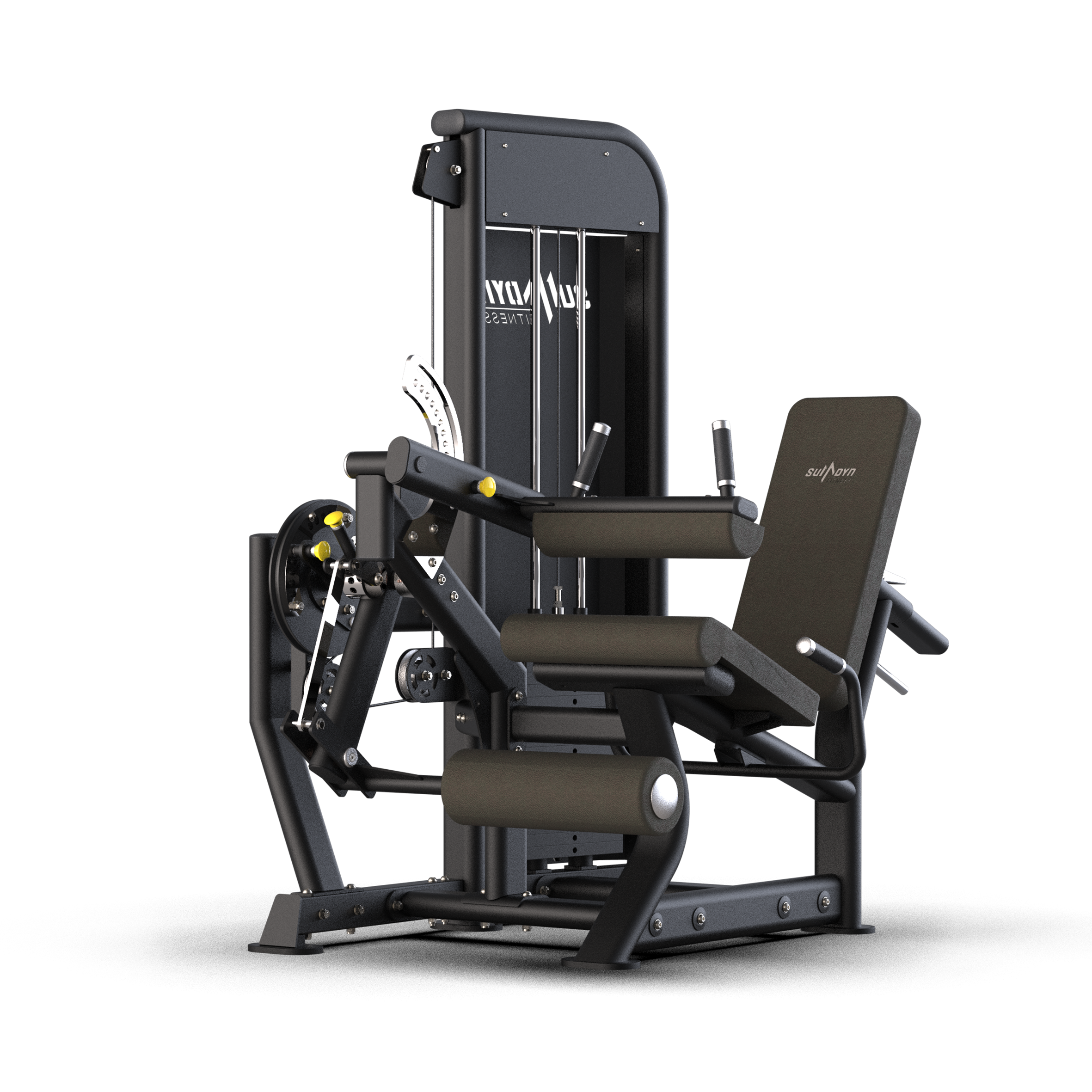 Leg Extension/Curl Machine