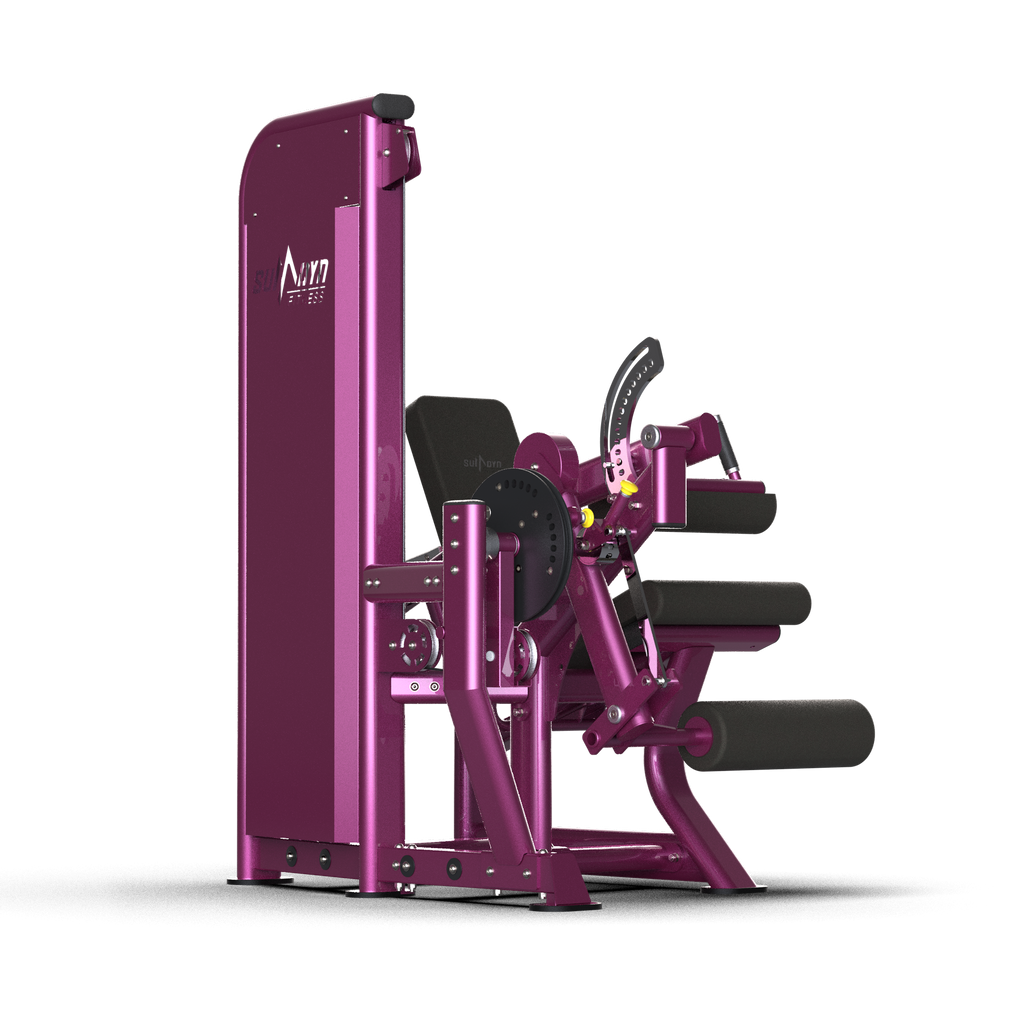 Leg Extension/Curl Machine