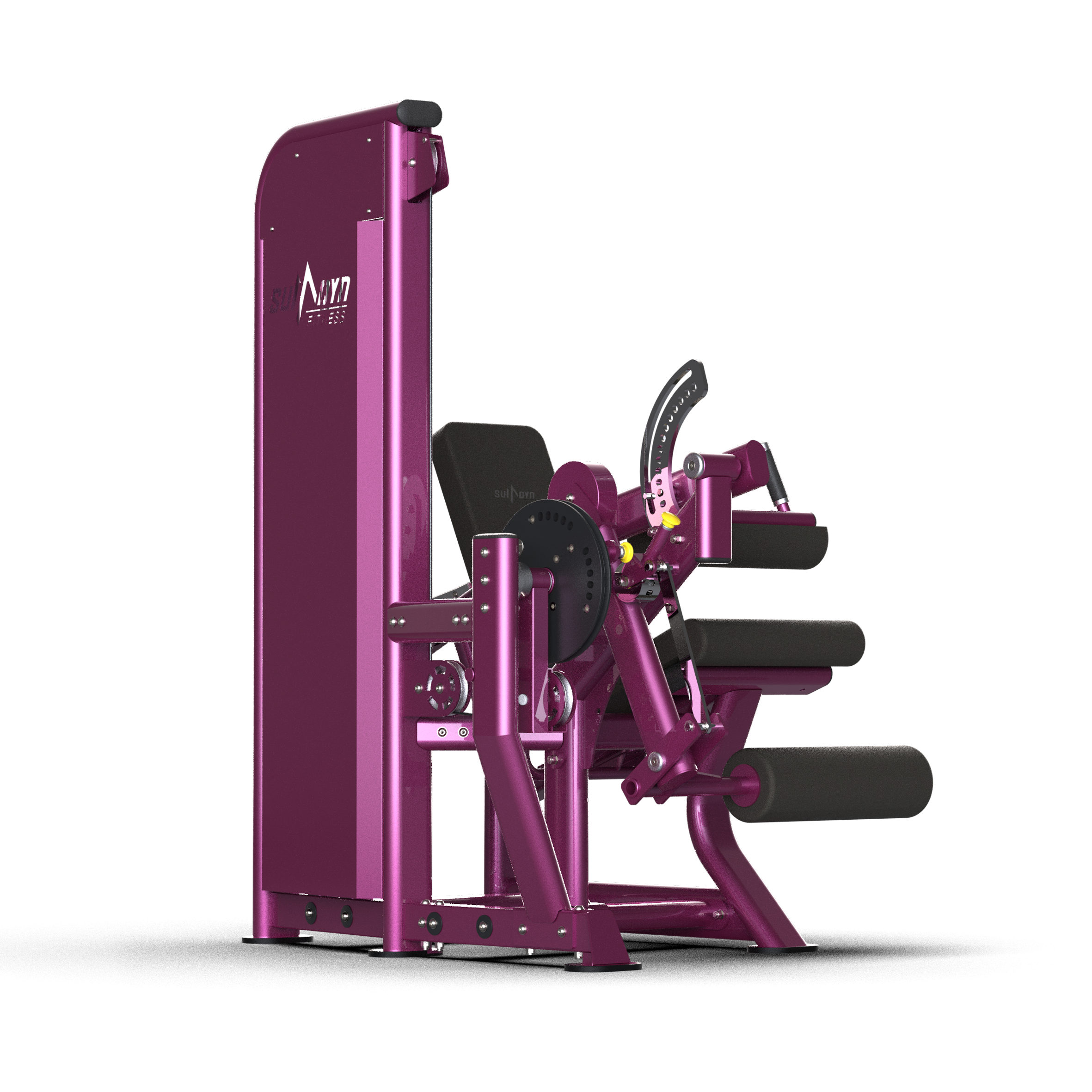 Leg Extension/Curl Machine